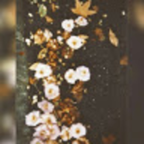 Meet your Posher, Audreykathrineevlogs - Picture 1 of 1